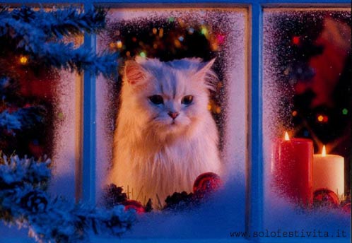 Imagenes navidad 